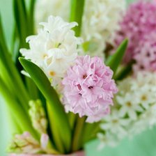 Cross stitch pattern: #287019