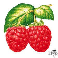 Cross stitch pattern: #287068