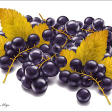 Cross stitch pattern: #287070