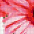 Preview of cross stitch pattern: #287223