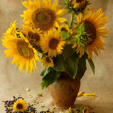 Cross stitch pattern: #287433