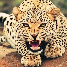 Cross stitch pattern: #287455