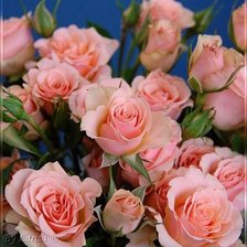 Cross stitch pattern: #287541