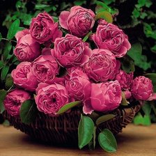 Cross stitch pattern: #288471