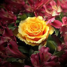 Cross stitch pattern: #288474