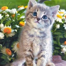 Cross stitch pattern: #288797