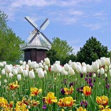 Cross stitch pattern: #289090