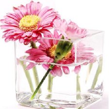 Cross stitch pattern: #289688