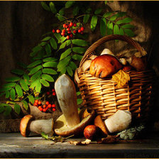 Cross stitch pattern: #289823