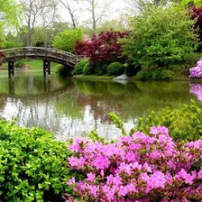 Cross stitch pattern: #289895