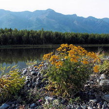 Cross stitch pattern: #289963