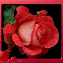 Cross stitch pattern: #290413