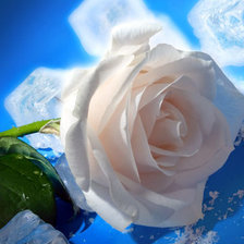 Cross stitch pattern: #290423