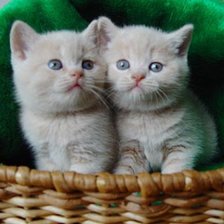 Cross stitch pattern: #291148