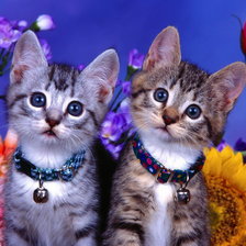 Cross stitch pattern: #291607