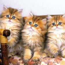 Cross stitch pattern: #292787