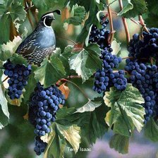 Cross stitch pattern: #293140