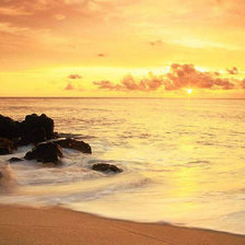 Cross stitch pattern: #293657