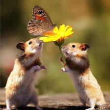 Cross stitch pattern: #293791