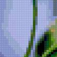 Preview of cross stitch pattern: #293854
