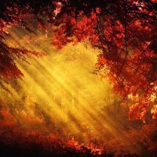 Cross stitch pattern: #295221