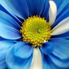 Cross stitch pattern: #295226