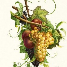 Cross stitch pattern: #295412