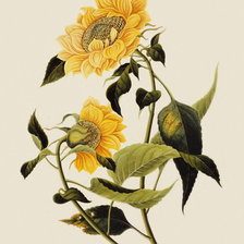 Cross stitch pattern: #295415