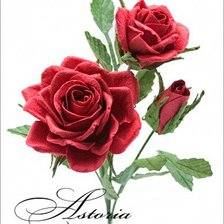 Cross stitch pattern: #295419