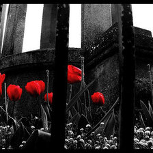 Cross stitch pattern: #296208