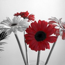 Cross stitch pattern: #296214