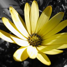 Cross stitch pattern: #296218