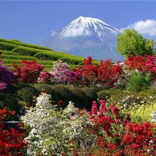 Cross stitch pattern: #296375