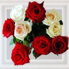Cross stitch pattern: #296575