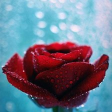 Cross stitch pattern: #296638