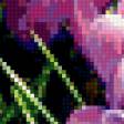 Preview of cross stitch pattern: #296889