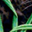 Preview of cross stitch pattern: #298357