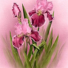 Cross stitch pattern: #298435