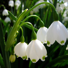 Cross stitch pattern: #298546