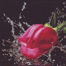 Cross stitch pattern: #298908