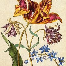 Cross stitch pattern: #298936