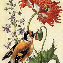 Cross stitch pattern: #298944