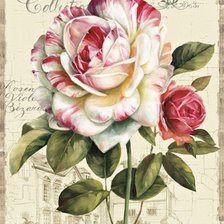 Cross stitch pattern: #298959