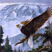 Cross stitch pattern: #300099