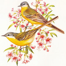 Cross stitch pattern: #300790