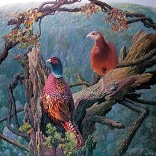 Cross stitch pattern: #301071