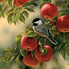 Cross stitch pattern: #301082