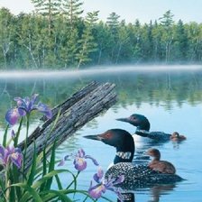 Cross stitch pattern: #301086