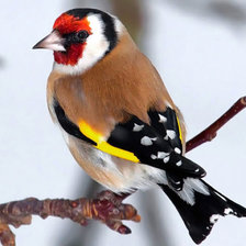 Cross stitch pattern: #301240