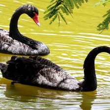 Cross stitch pattern: #301304